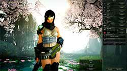 Куноити (Kunoichi) и Ниндзя (Ninja)