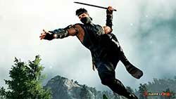 Куноити (Kunoichi) и Ниндзя (Ninja)