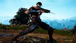 Куноити (Kunoichi) и Ниндзя (Ninja)